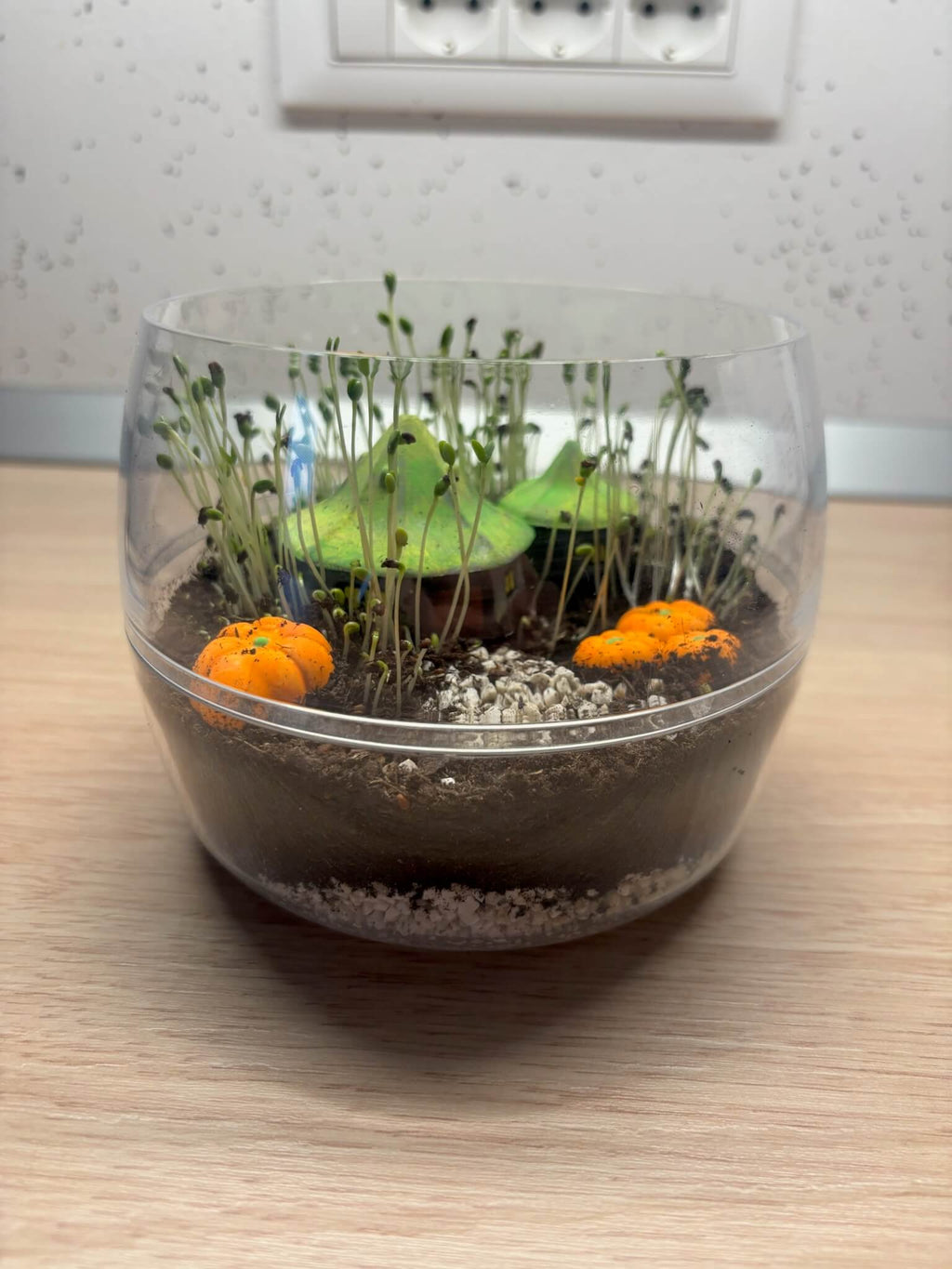 Harry Potter Mini Garten – Magisches Ökosystem im Glas