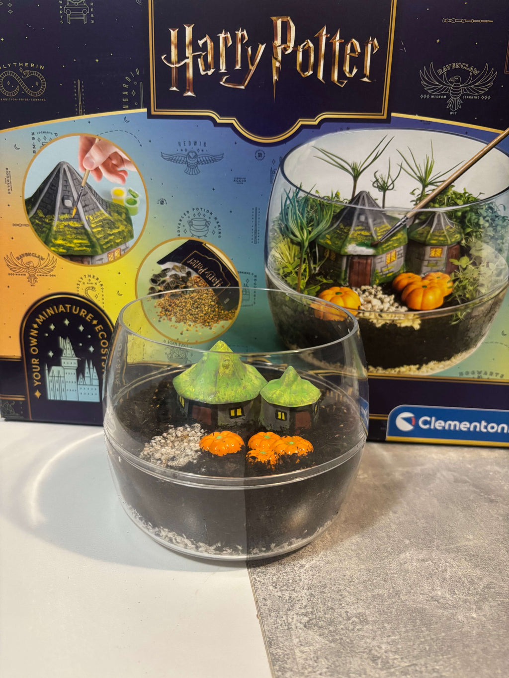 Harry Potter Mini Garten – Magisches Ökosystem im Glas
