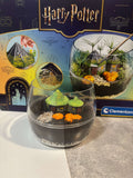 Harry Potter Mini Garten – Magisches Ökosystem im Glas